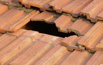 roof repair Minishant, South Ayrshire