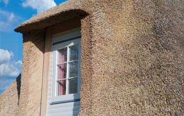 Minishant thatch roof disadvantages